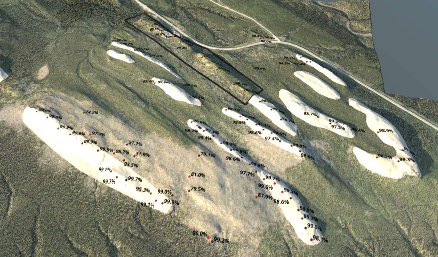 Ptarmigan project preview